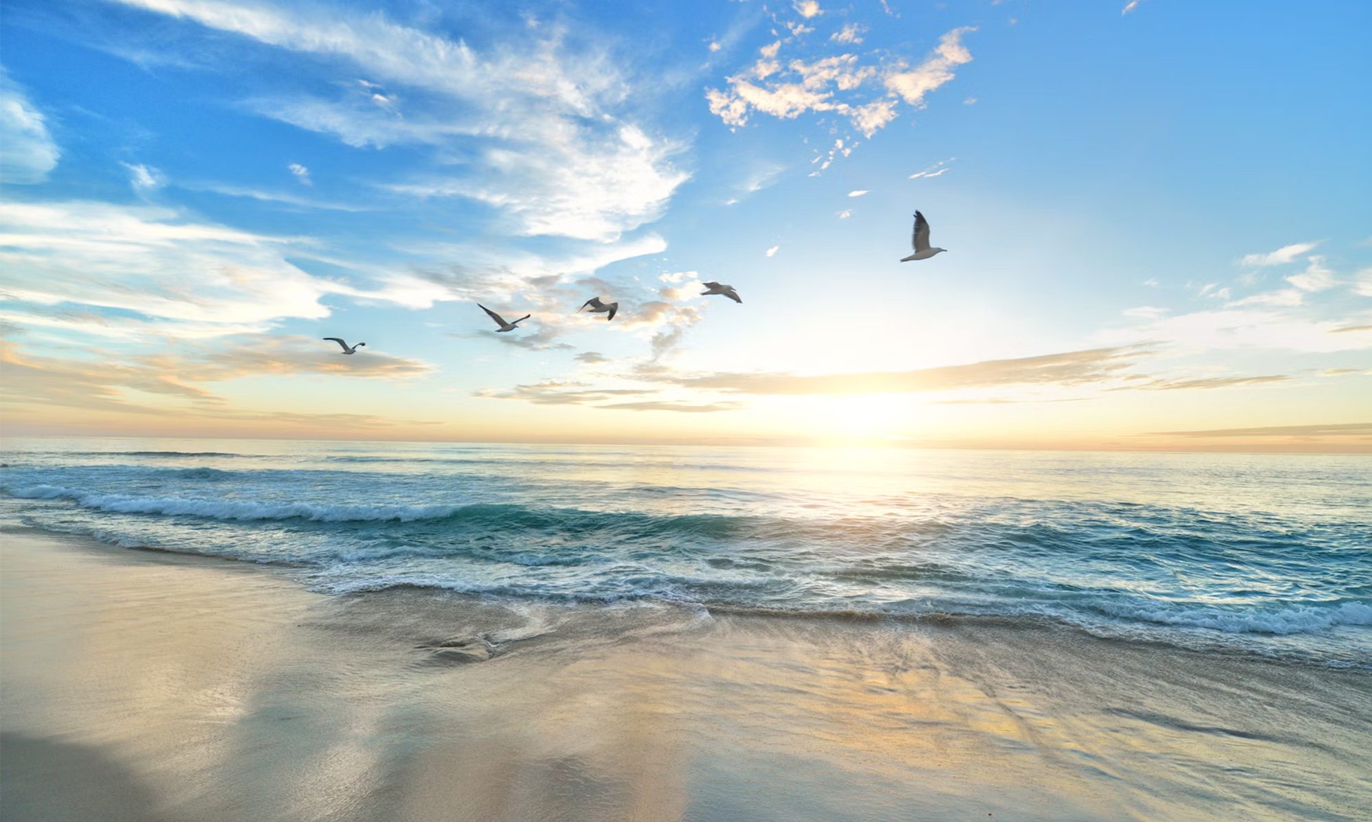 Sunrise beach with seaguls